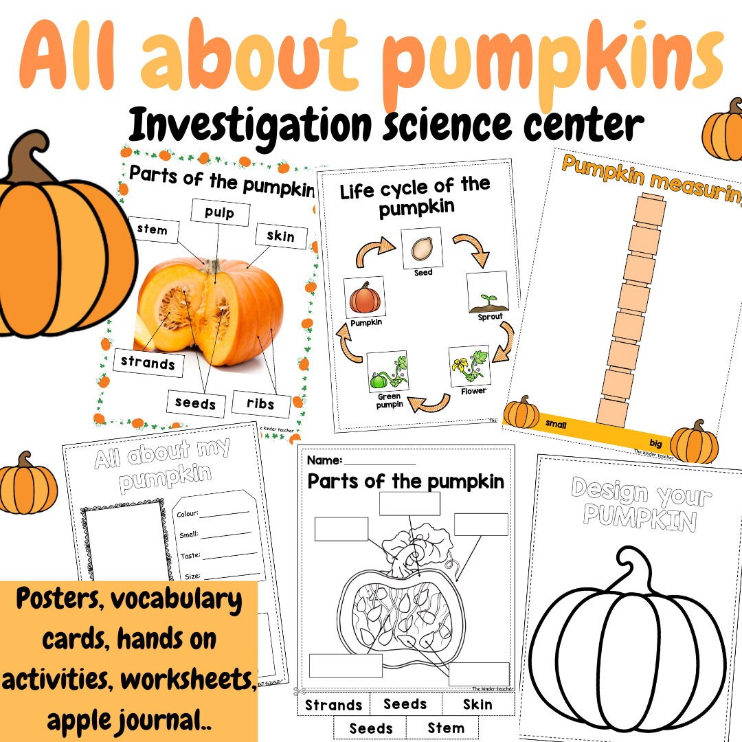 All about pumpkins - Investigation science center for Preschool
