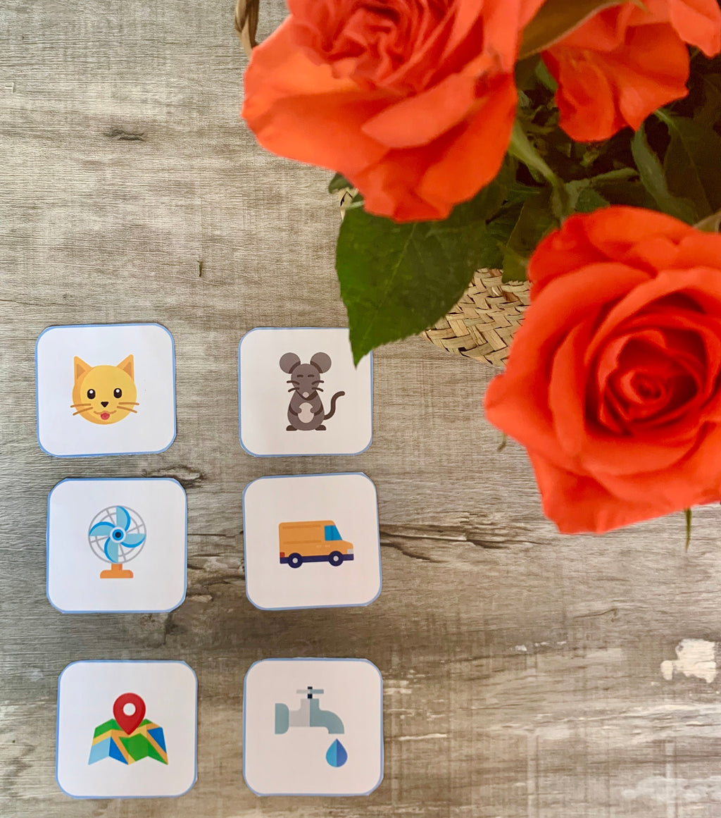 Rhyming words matching cards