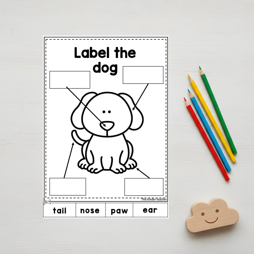 Writing labels booklet for Pre-K, Kindergarten Writing - How to Label