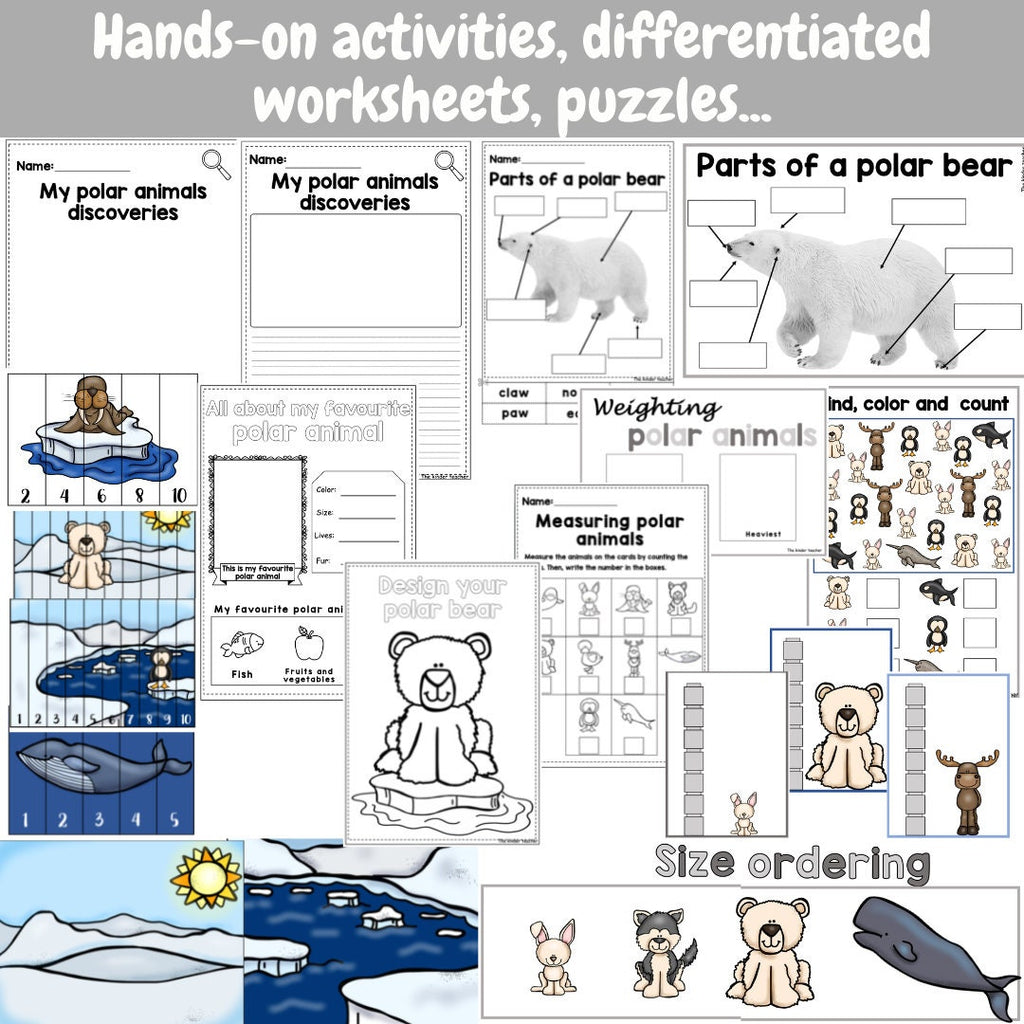 All about polar animals- Investigation science center for Preschool