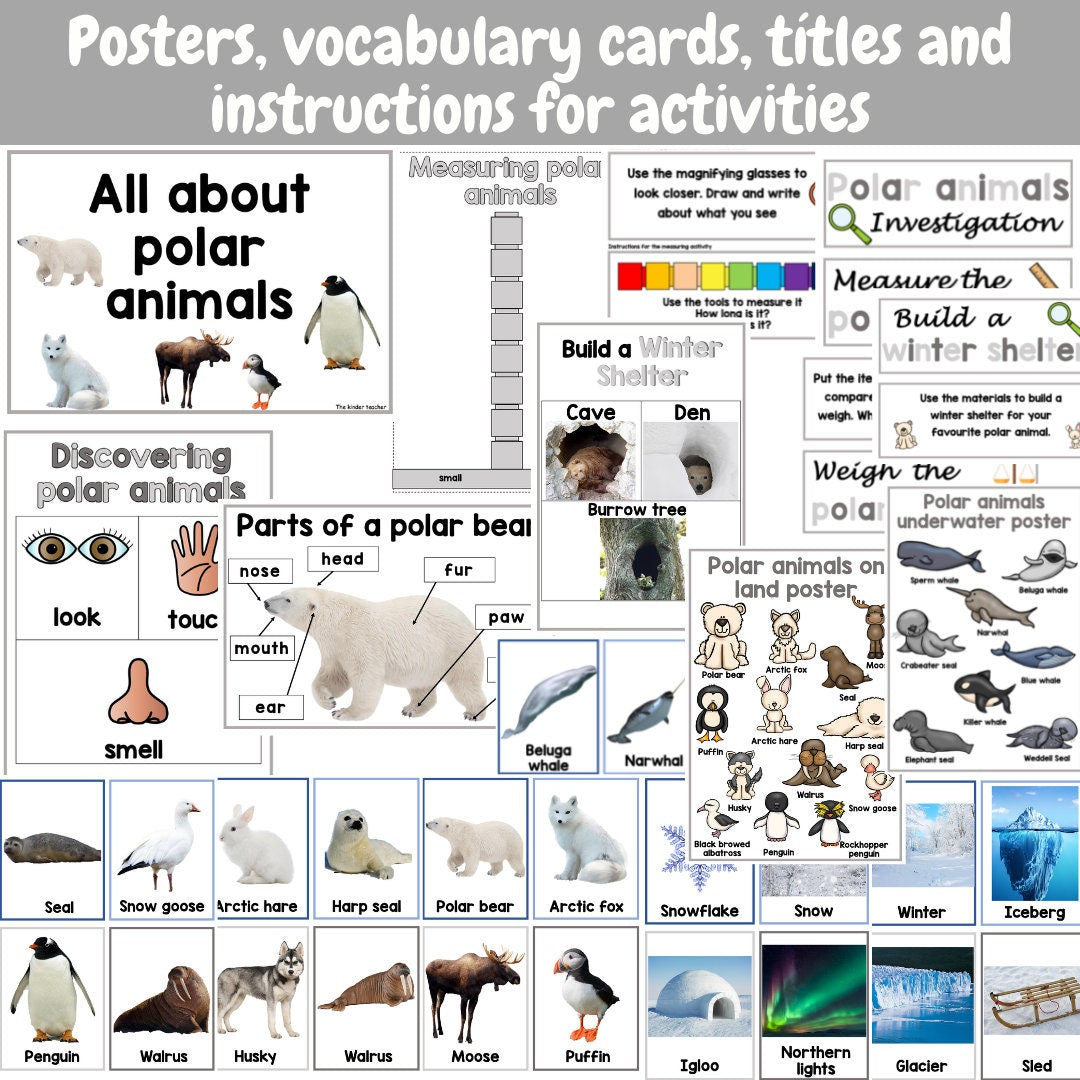 All about polar animals- Investigation science center for Preschool