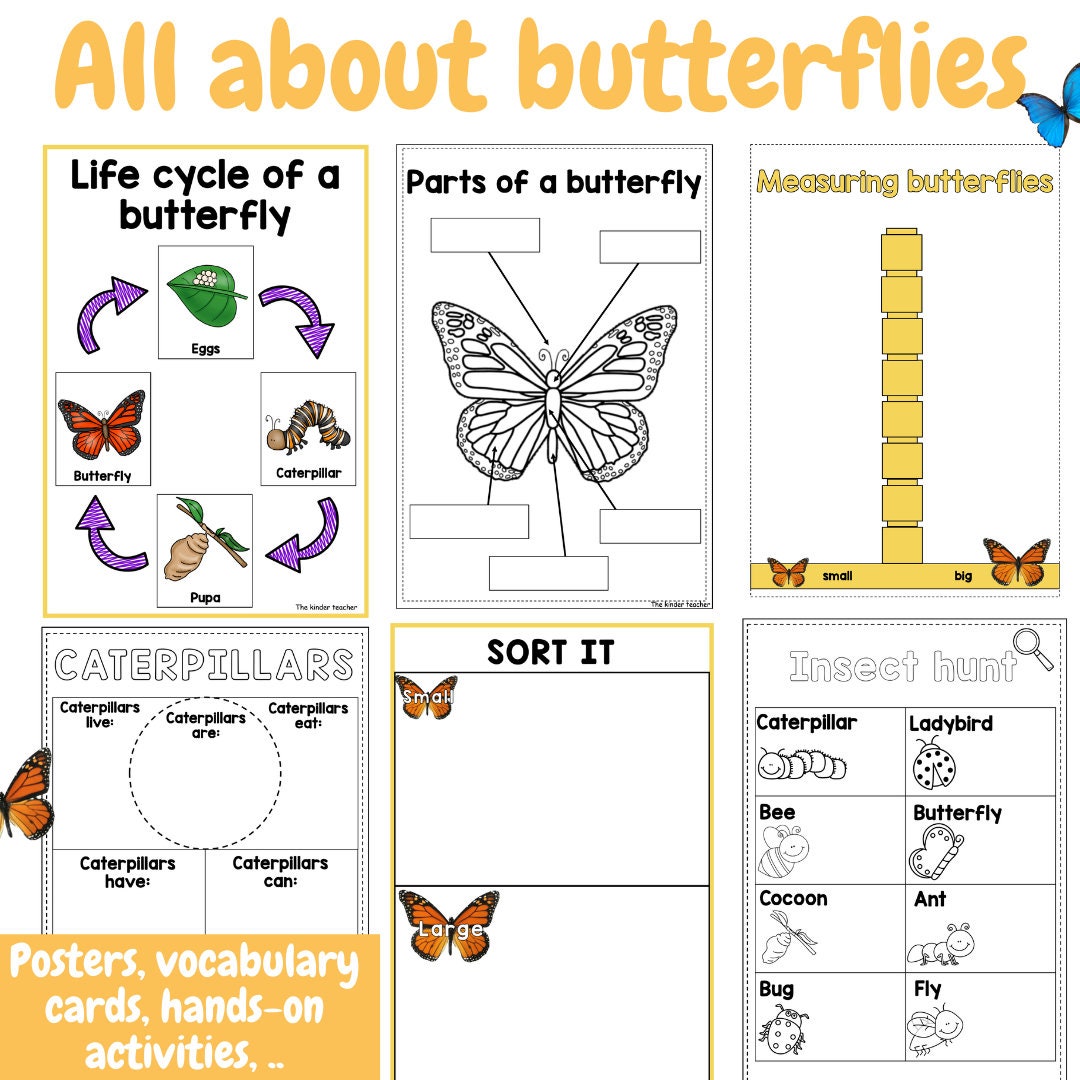 All about butterflies - Investigation science center for Preschool