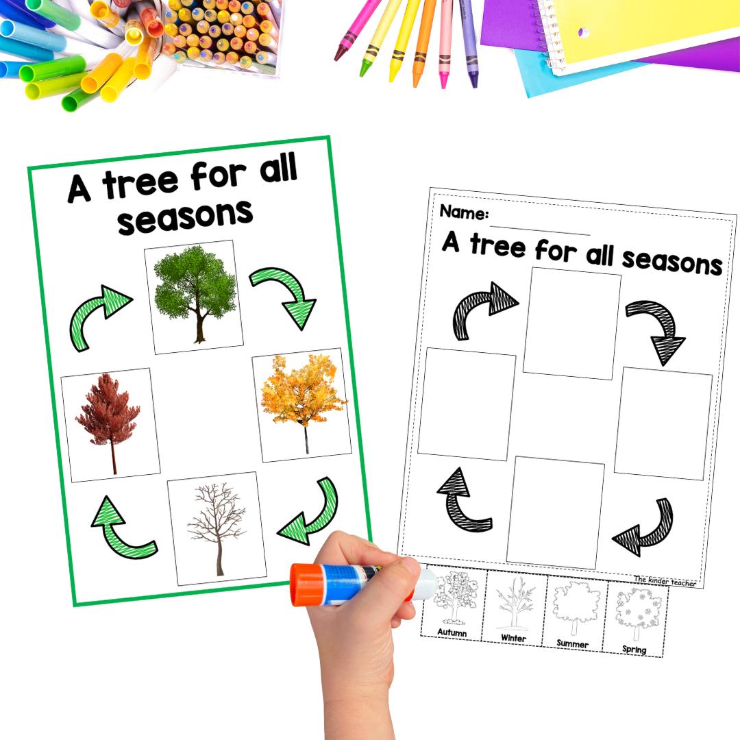 All about trees and leaves - Investigation science center for Preschool