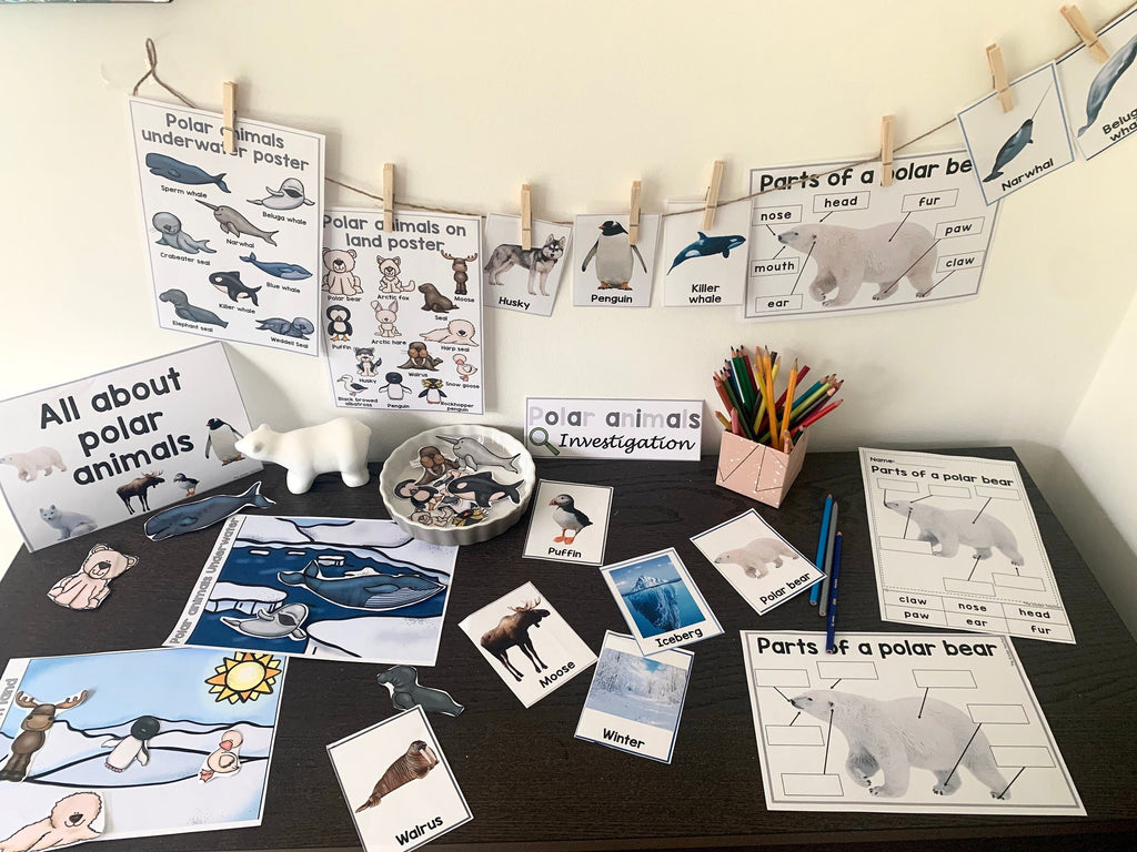 All about polar animals- Investigation science center for Preschool