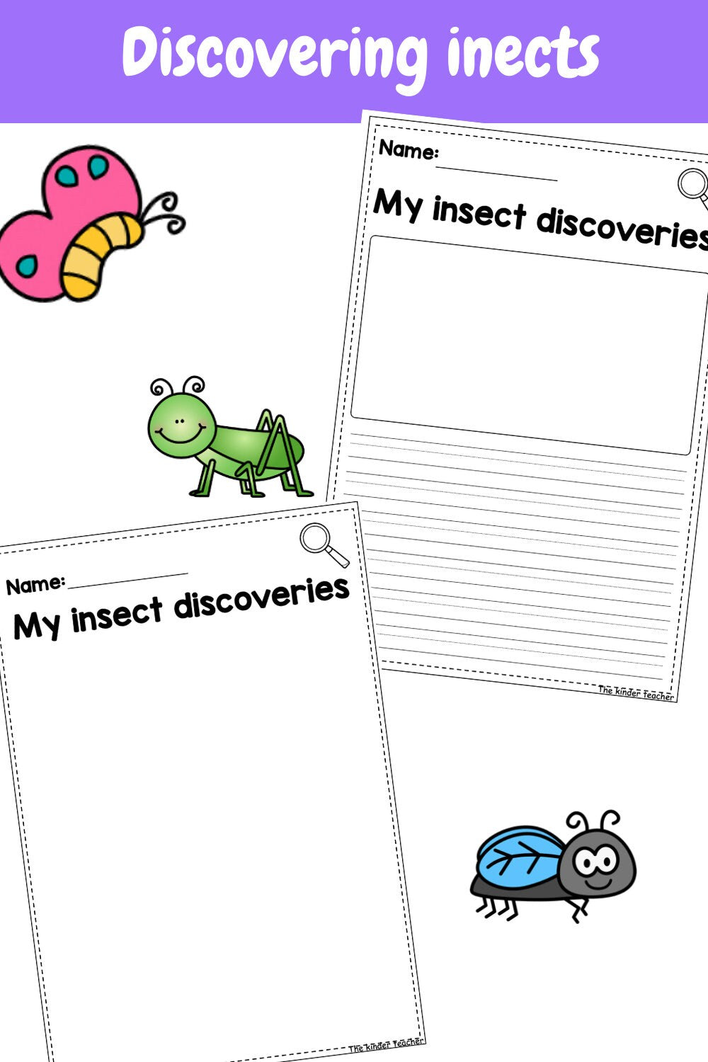 All about insects and minibeasts - Investigation science center for Preschool