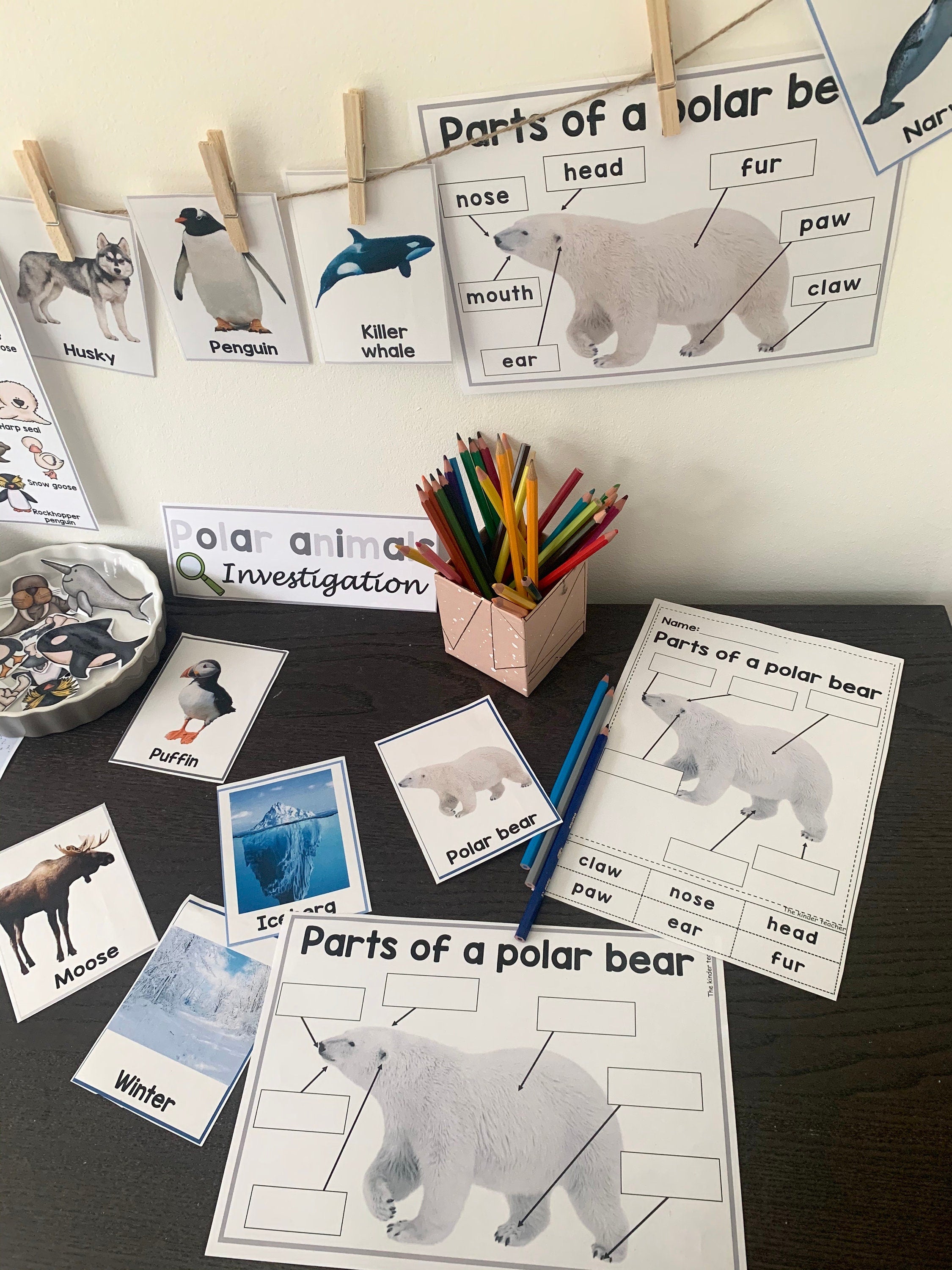 All about polar animals- Investigation science center for Preschool