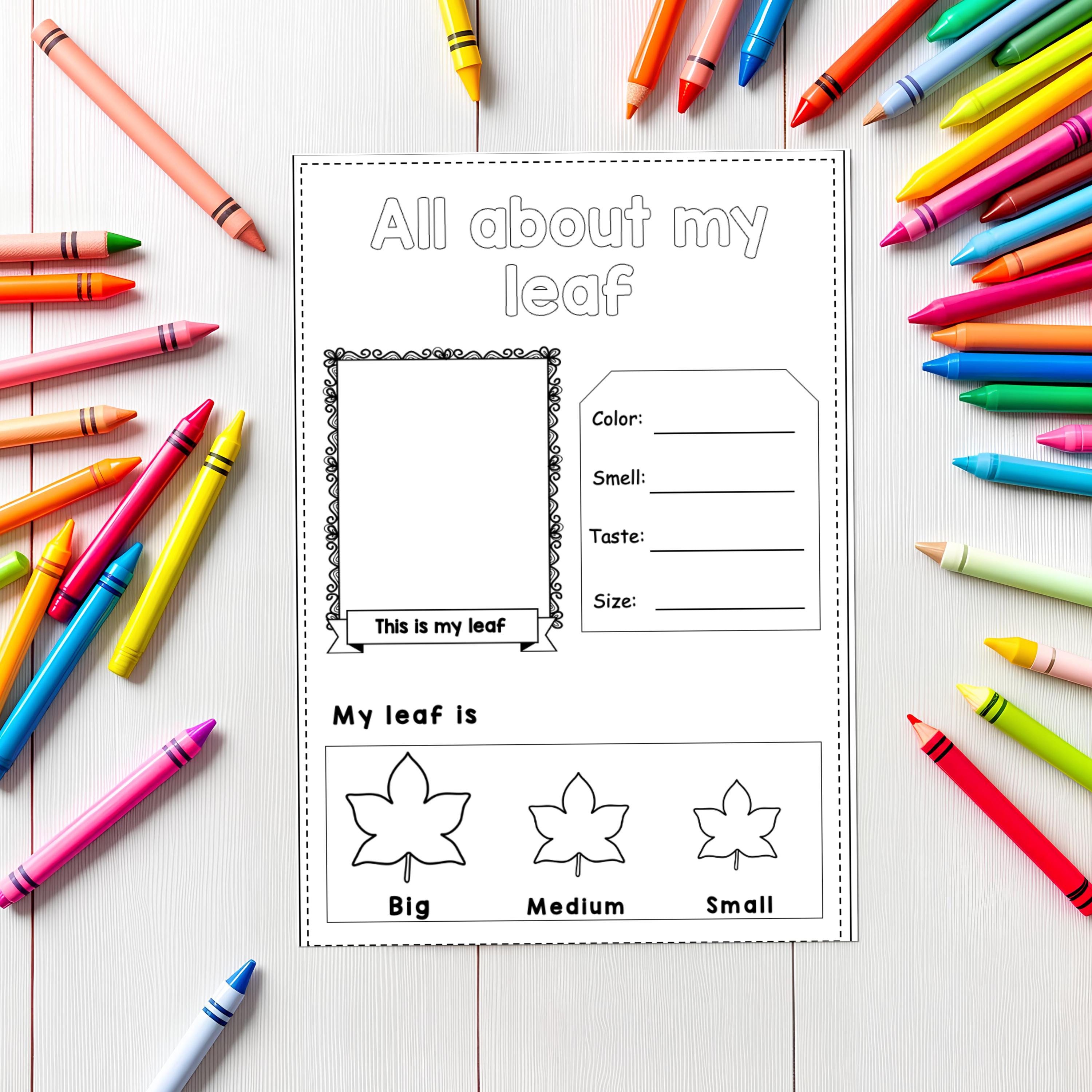 All about trees and leaves - Investigation science center for Preschool