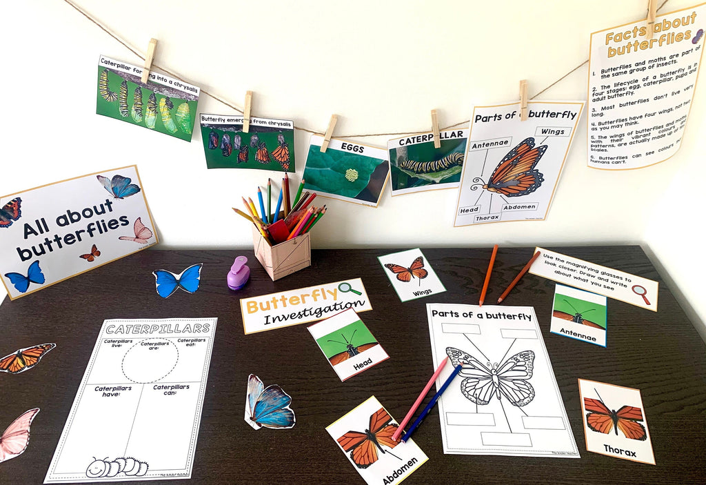 All about butterflies - Investigation science center for Preschool