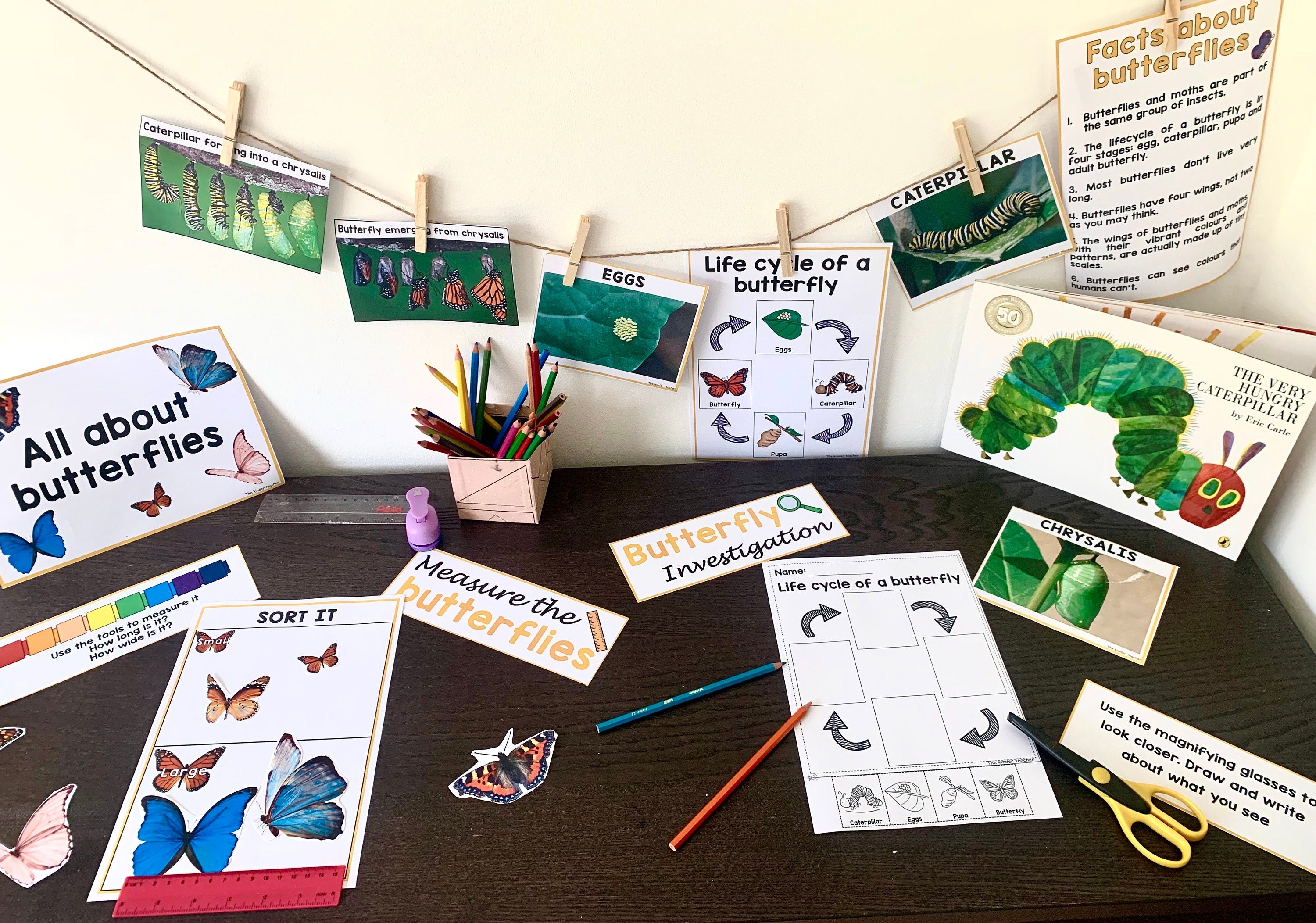 All about butterflies - Investigation science center for Preschool