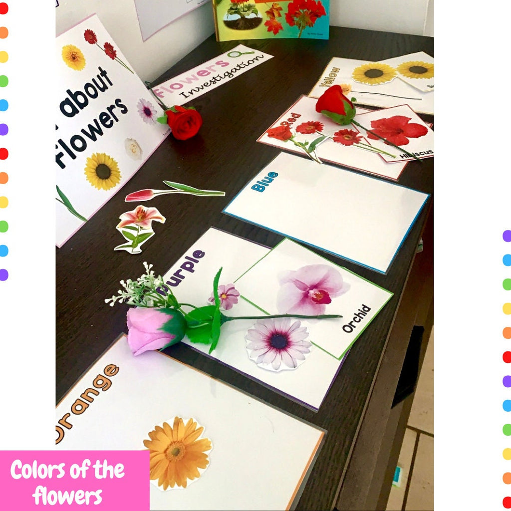 All about flowers - Investigation science center for Preschool