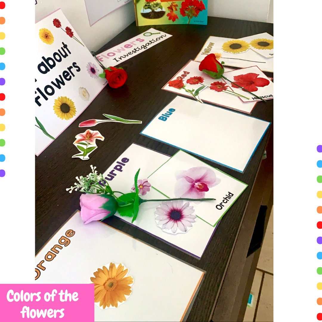 All about flowers - Investigation science center for Preschool