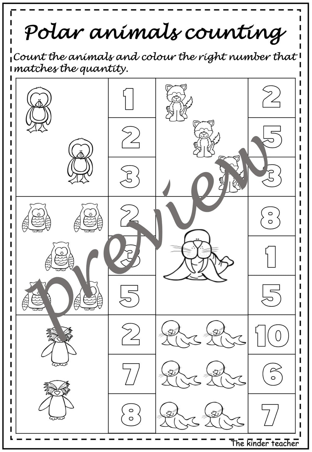 Polar Animals activity booklet