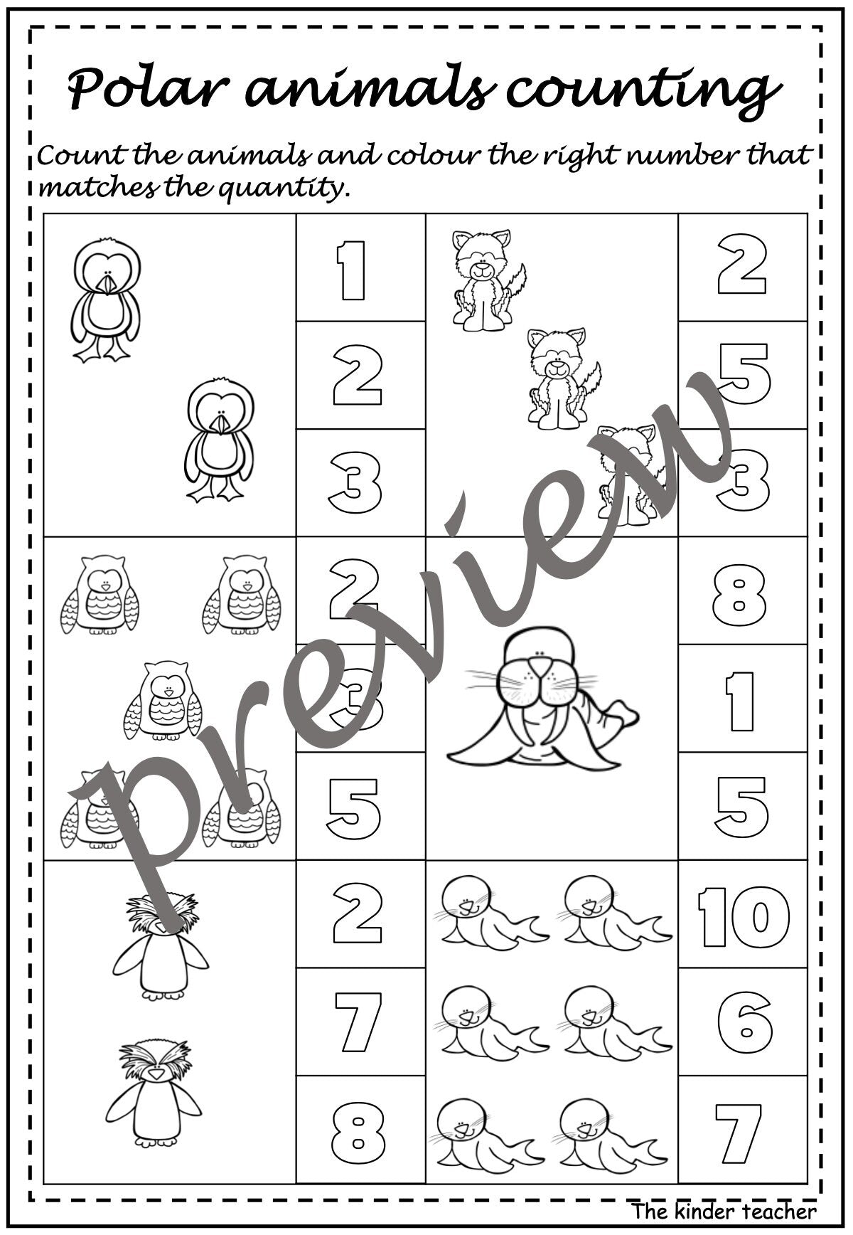 Polar Animals activity booklet