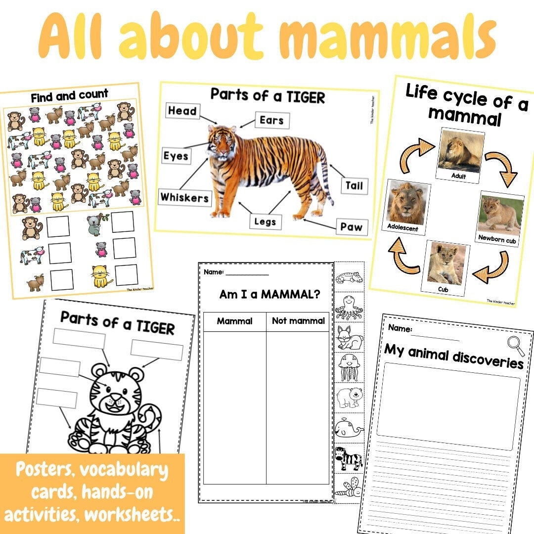 All About Mammals - Investigation Science Center for Preschool