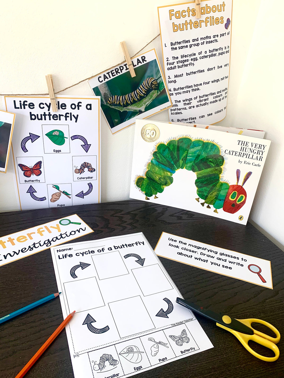 All about butterflies - Investigation science center for Preschool