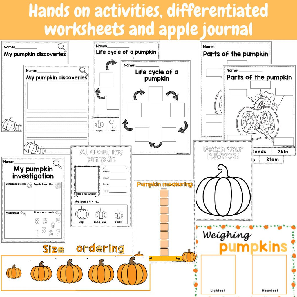 All about pumpkins - Investigation science center for Preschool