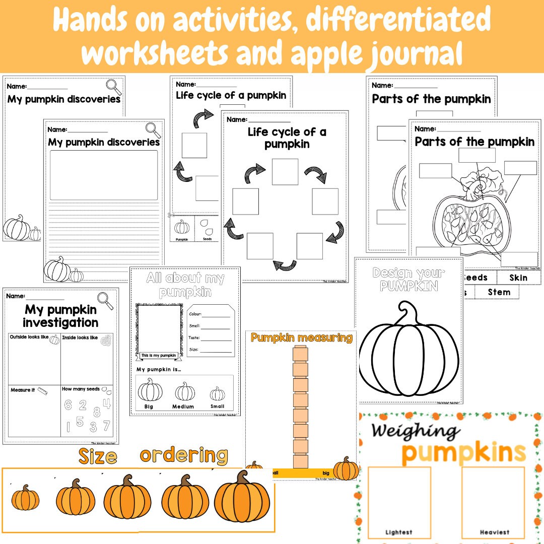 All about pumpkins - Investigation science center for Preschool