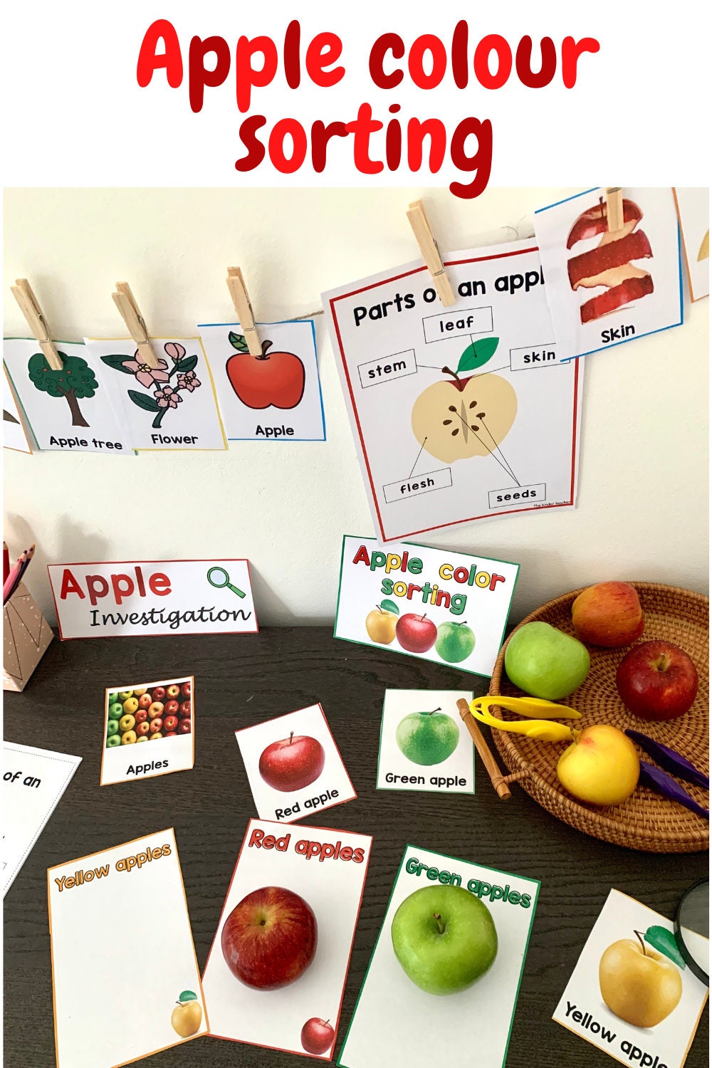 All about apples - Investigation science center for Preschool
