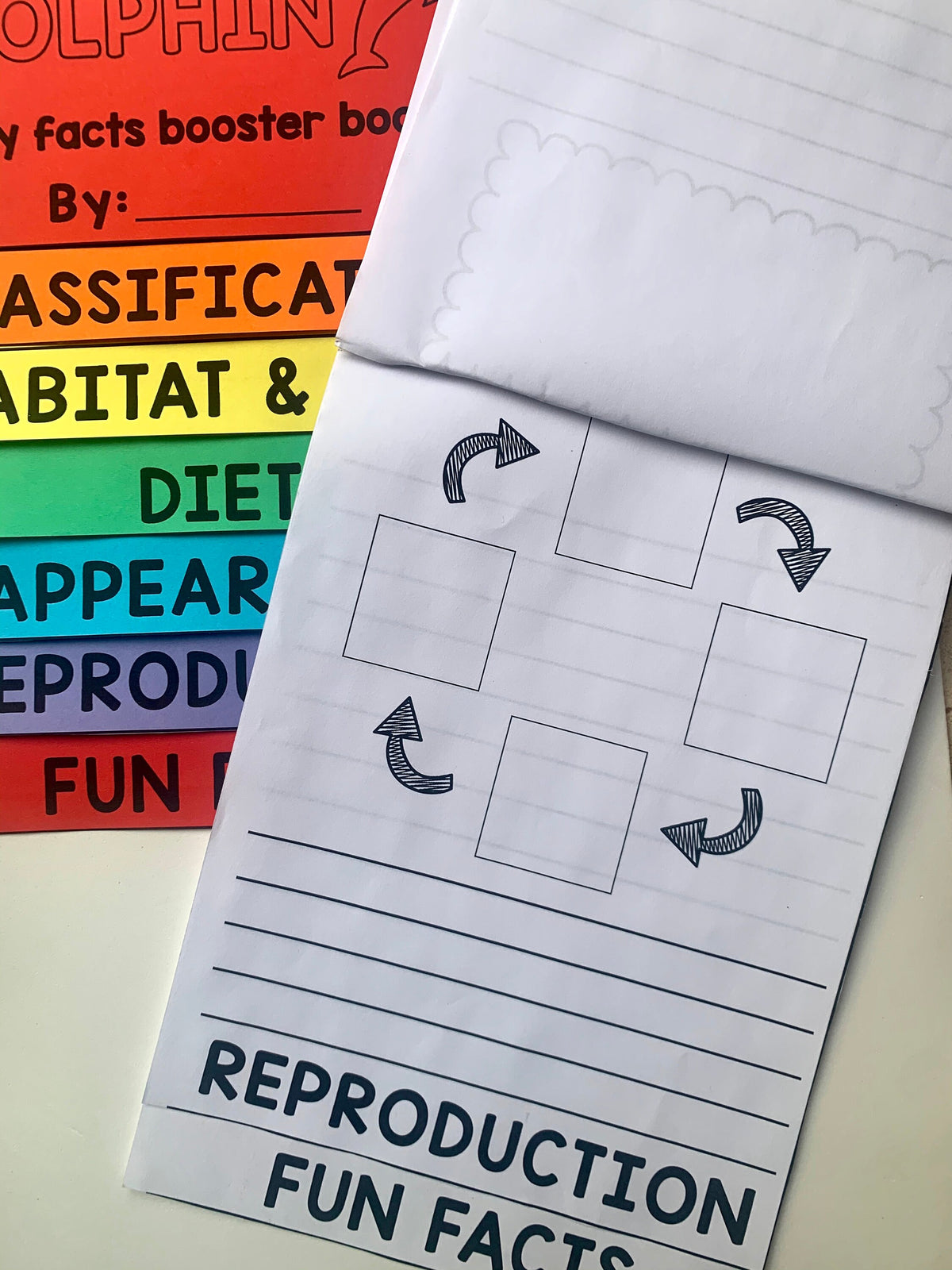 Animals flipbook activity - worksheet - Lapbook