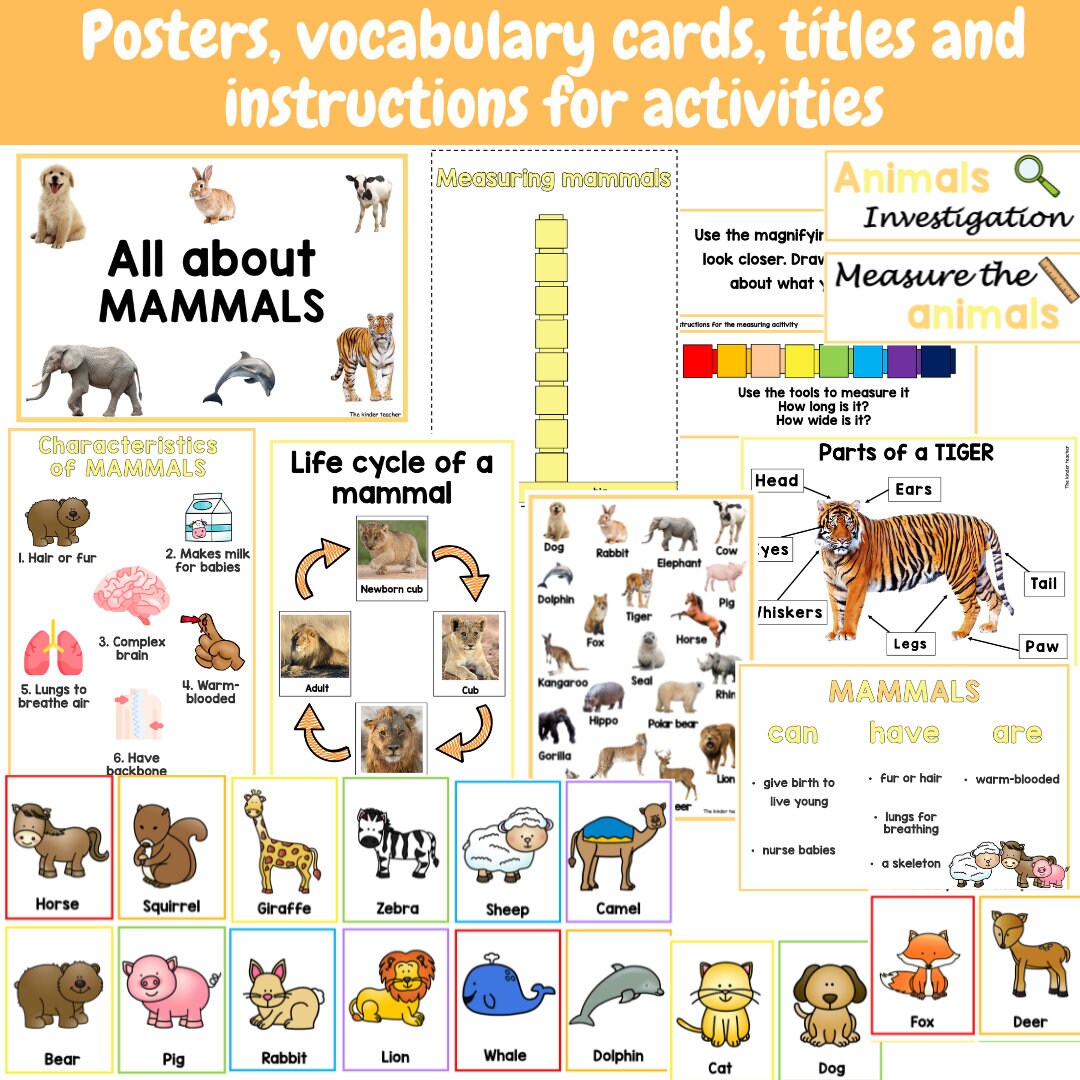 All About Mammals - Investigation Science Center for Preschool