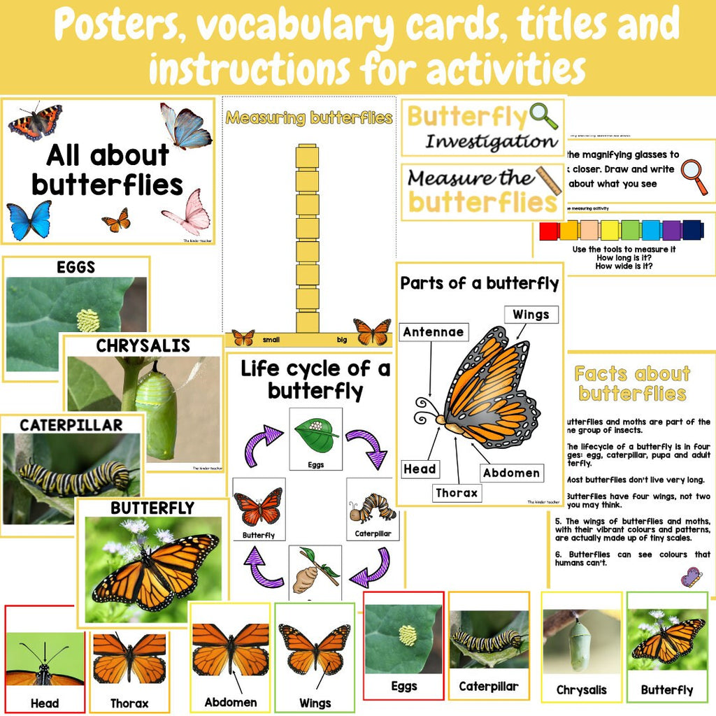 All about butterflies - Investigation science center for Preschool