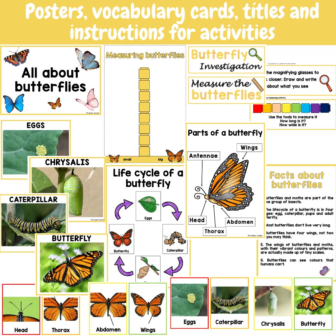 All about butterflies - Investigation science center for Preschool