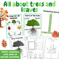 All about trees and leaves - Investigation science center for Preschool