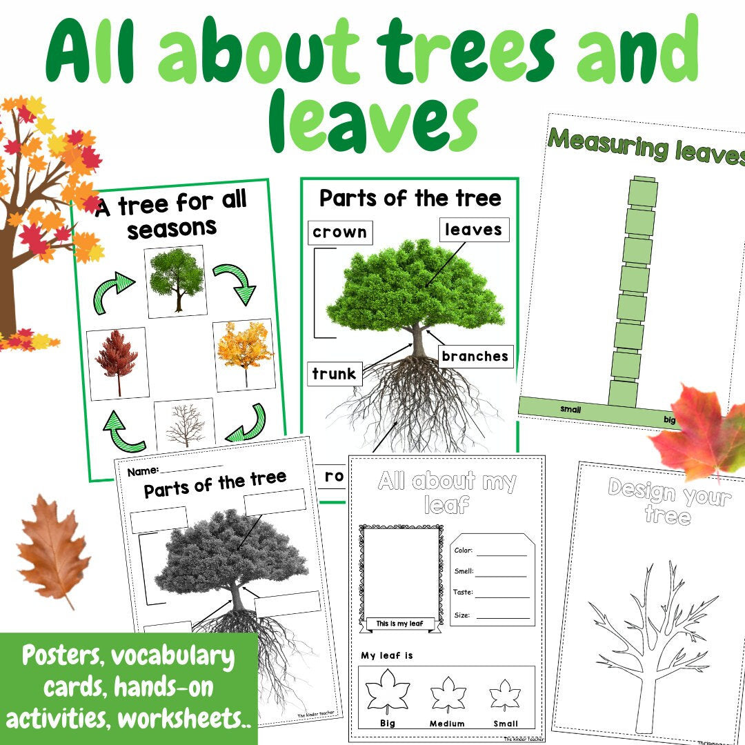 All about trees and leaves - Investigation science center for Preschool
