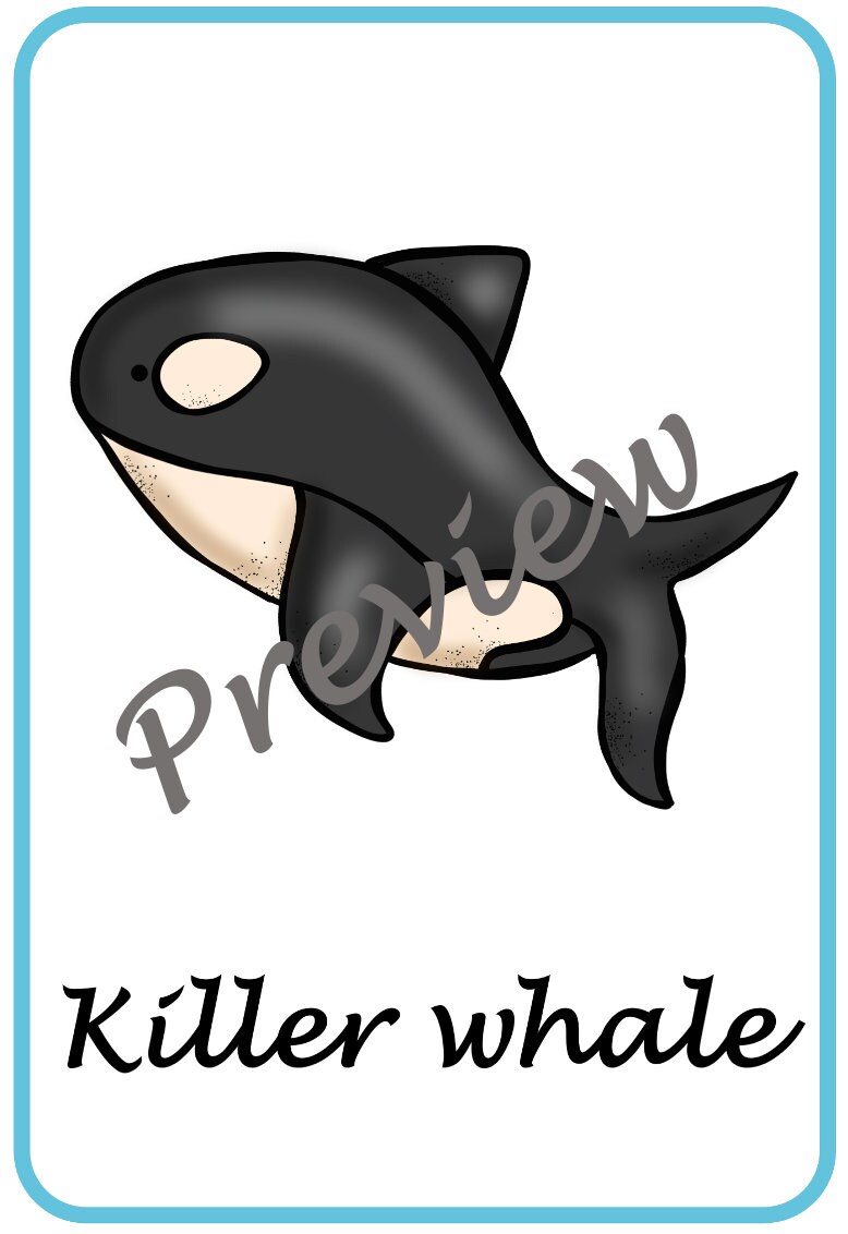 Polar animals classroom posters