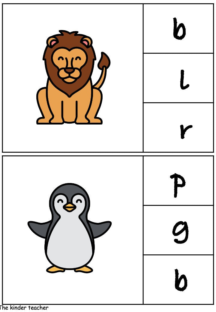 Beginning Sounds Cards