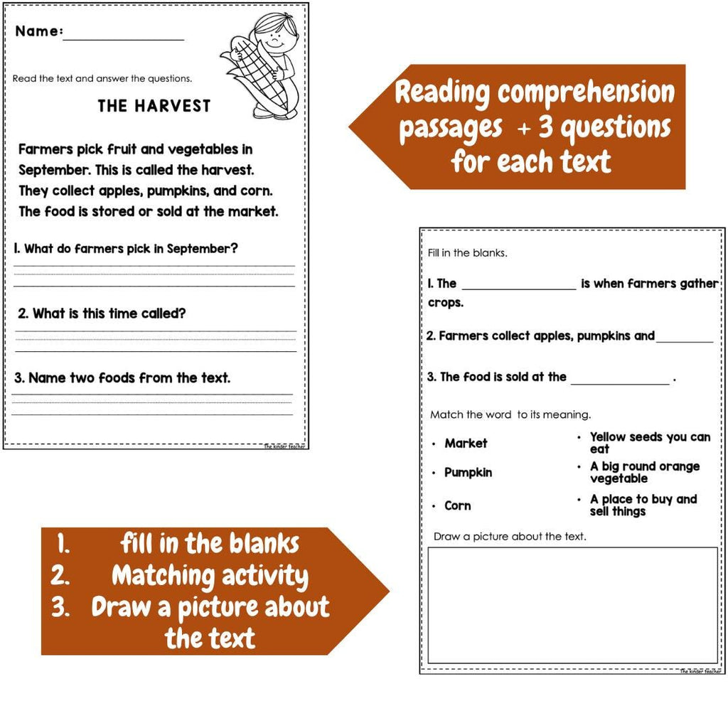 Seasonal reading comprehension BUNDLE passages for Year 1 and Reception