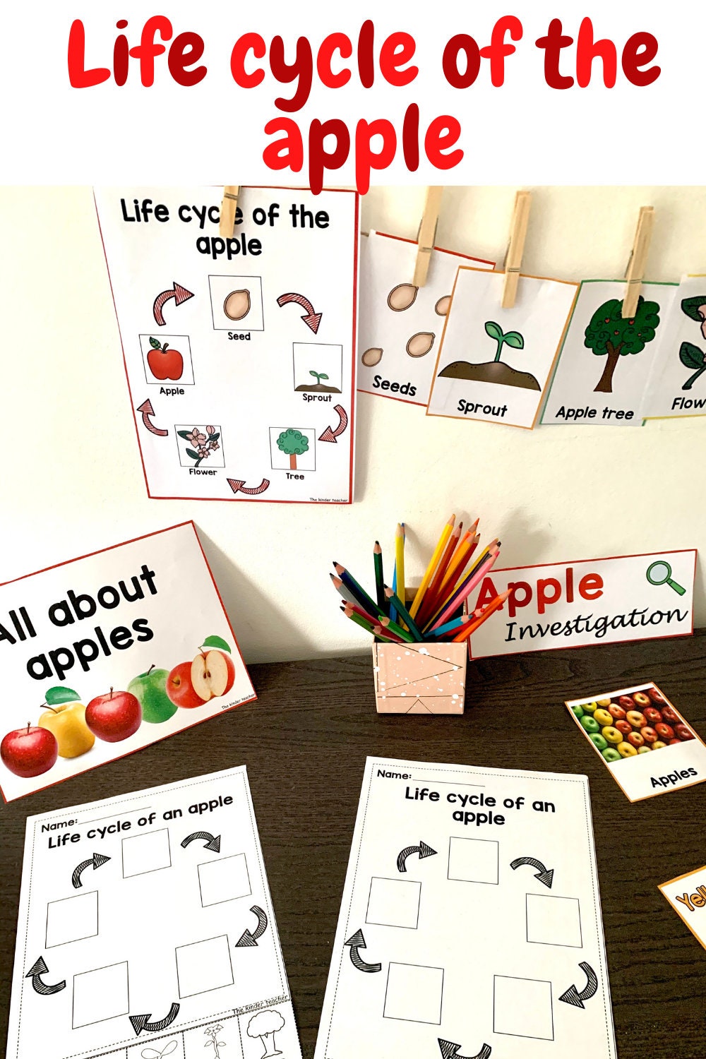 All about apples - Investigation science center for Preschool