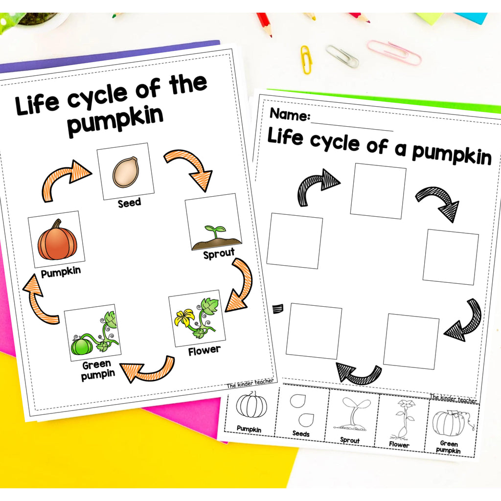 All about pumpkins - Investigation science center for Preschool