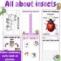All about insects and minibeasts - Investigation science center for Preschool