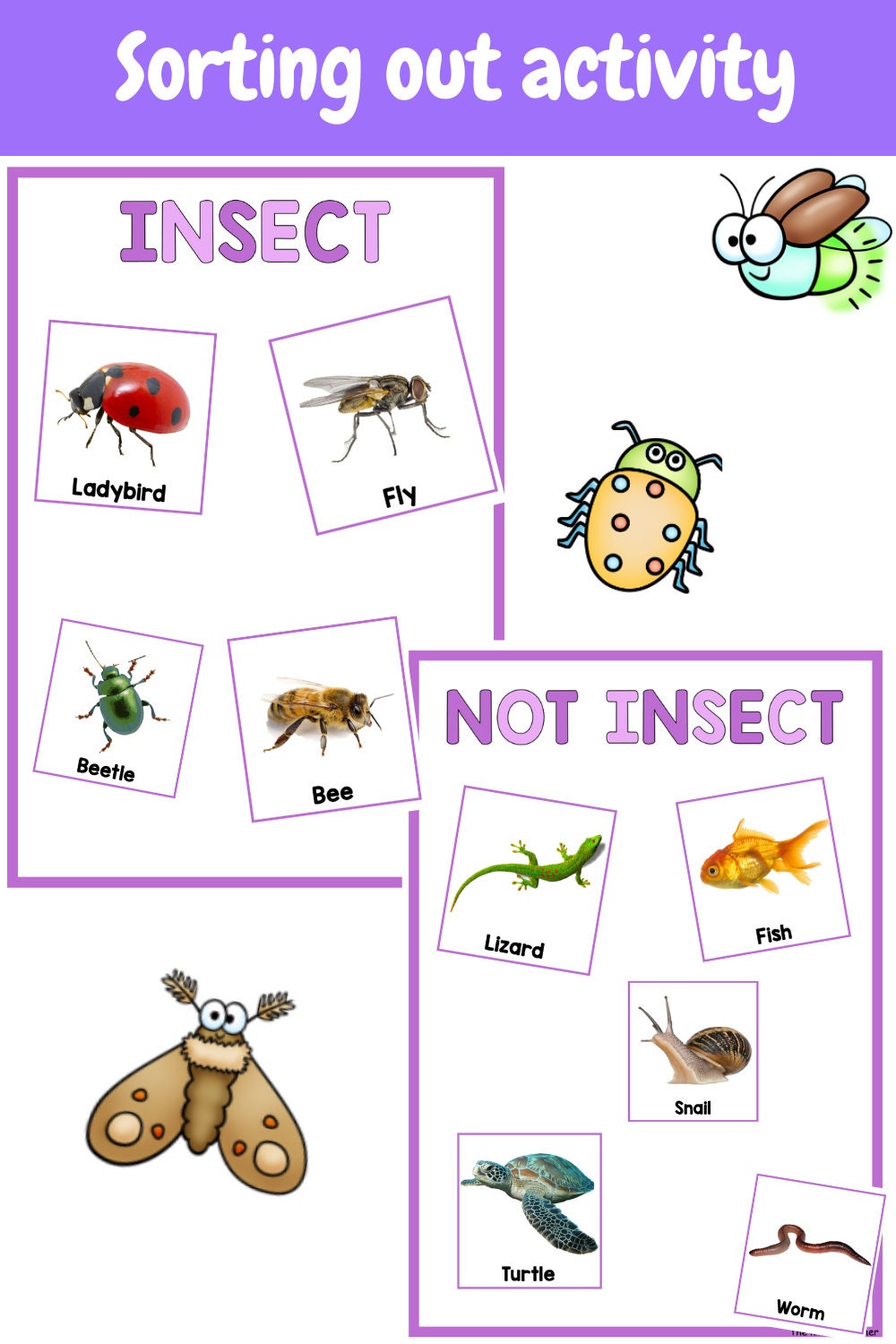 All about insects and minibeasts - Investigation science center for Preschool