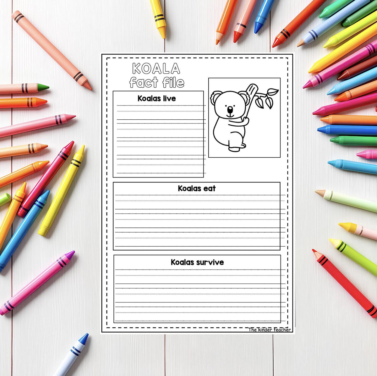 Animals fact files - Early writing - Reception and Nursery