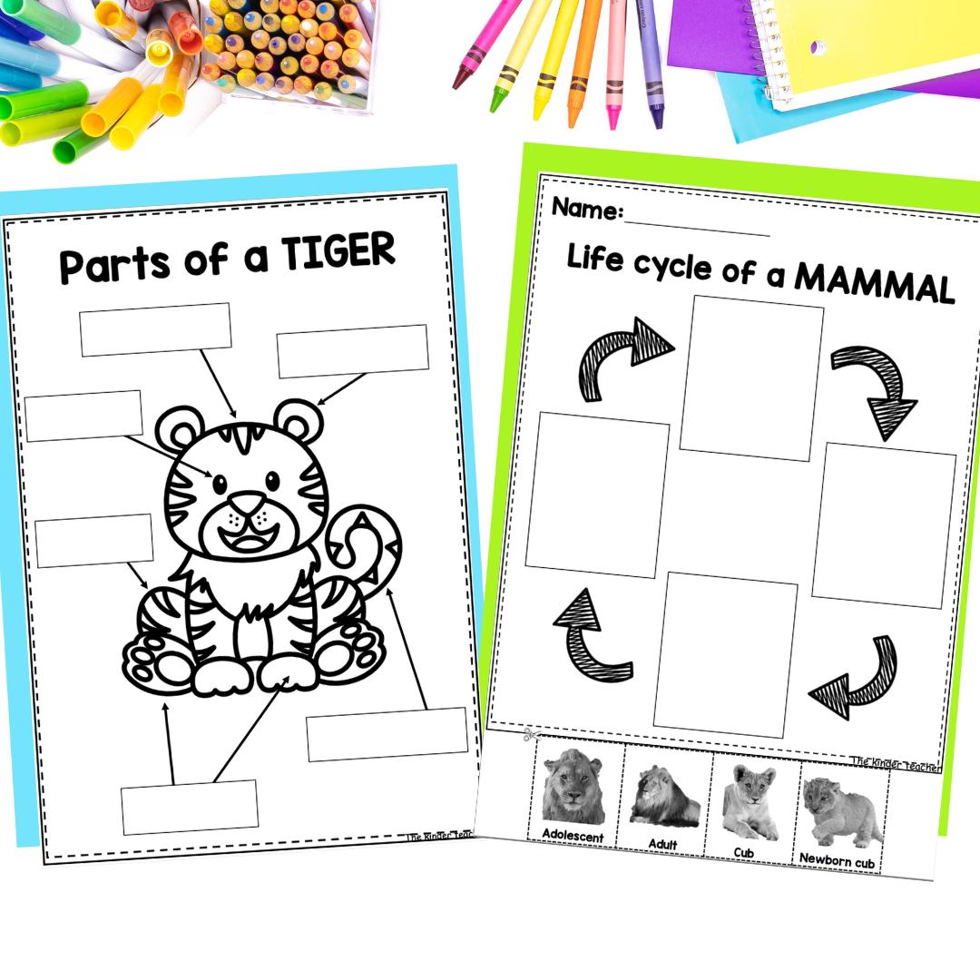 All About Mammals - Investigation Science Center for Preschool