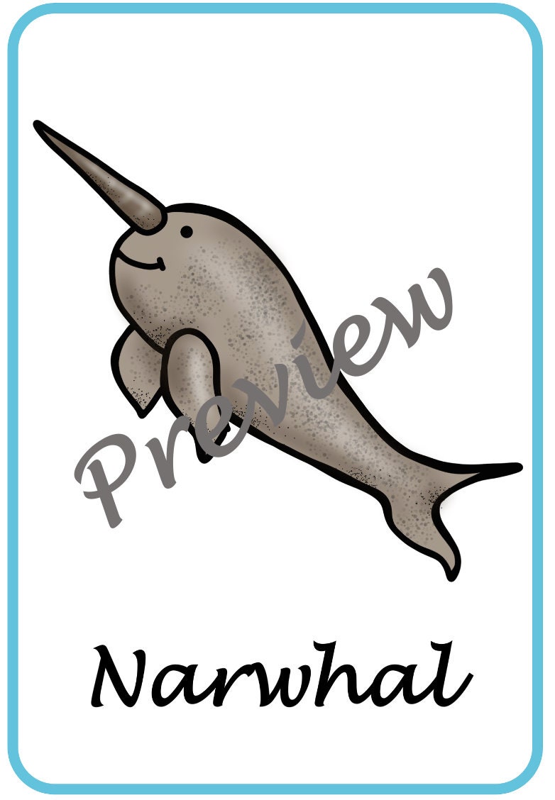 Polar animals classroom posters