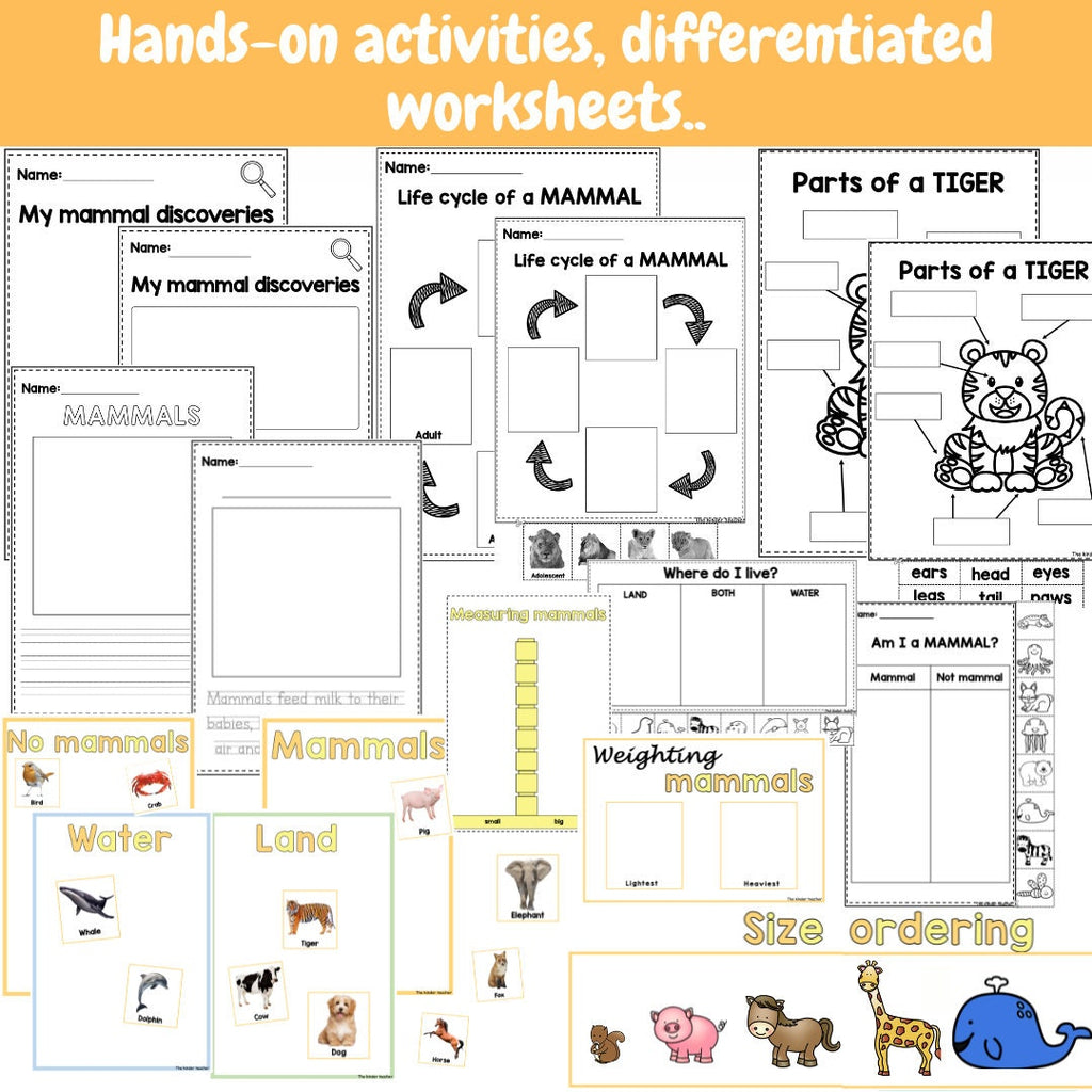All About Mammals - Investigation Science Center for Preschool