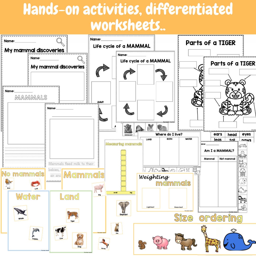All About Mammals - Investigation Science Center for Preschool