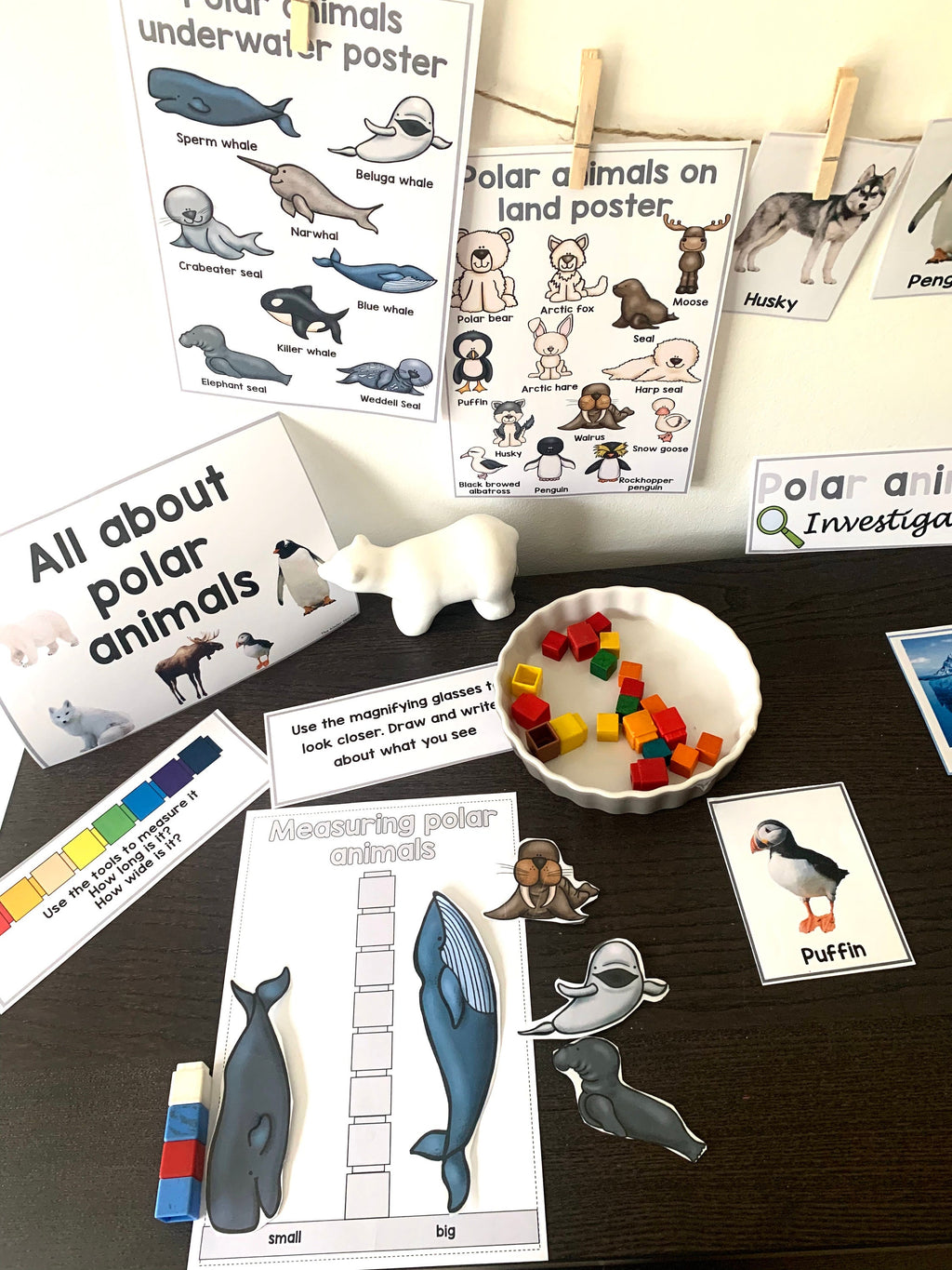 All about polar animals- Investigation science center for Preschool