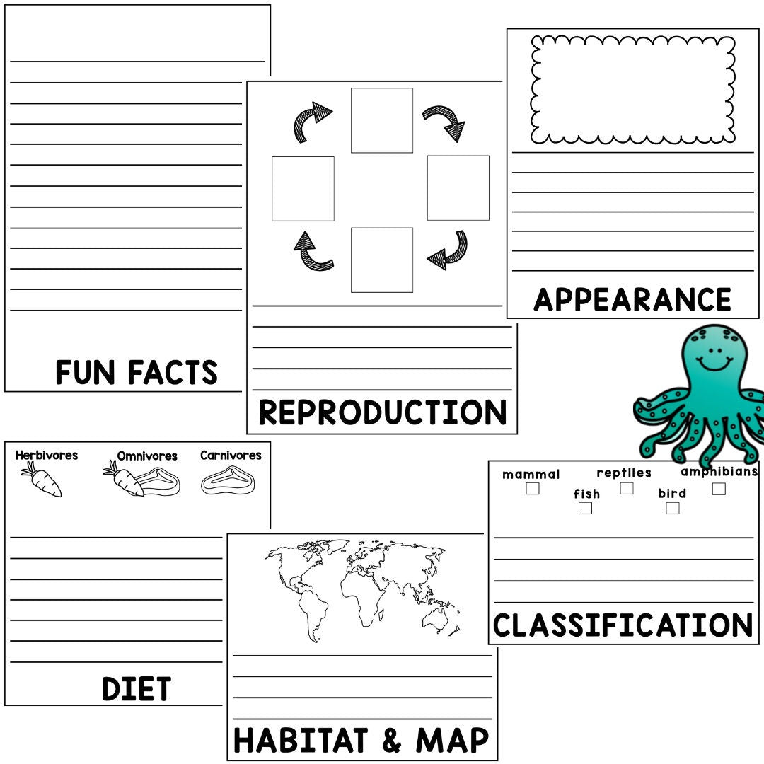 Animals flipbook activity - worksheet - Lapbook