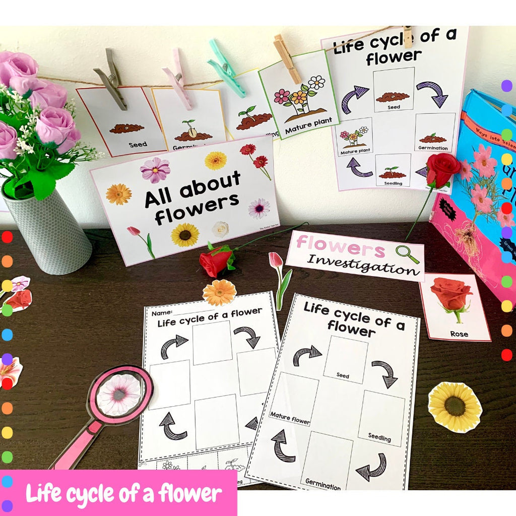 All about flowers - Investigation science center for Preschool