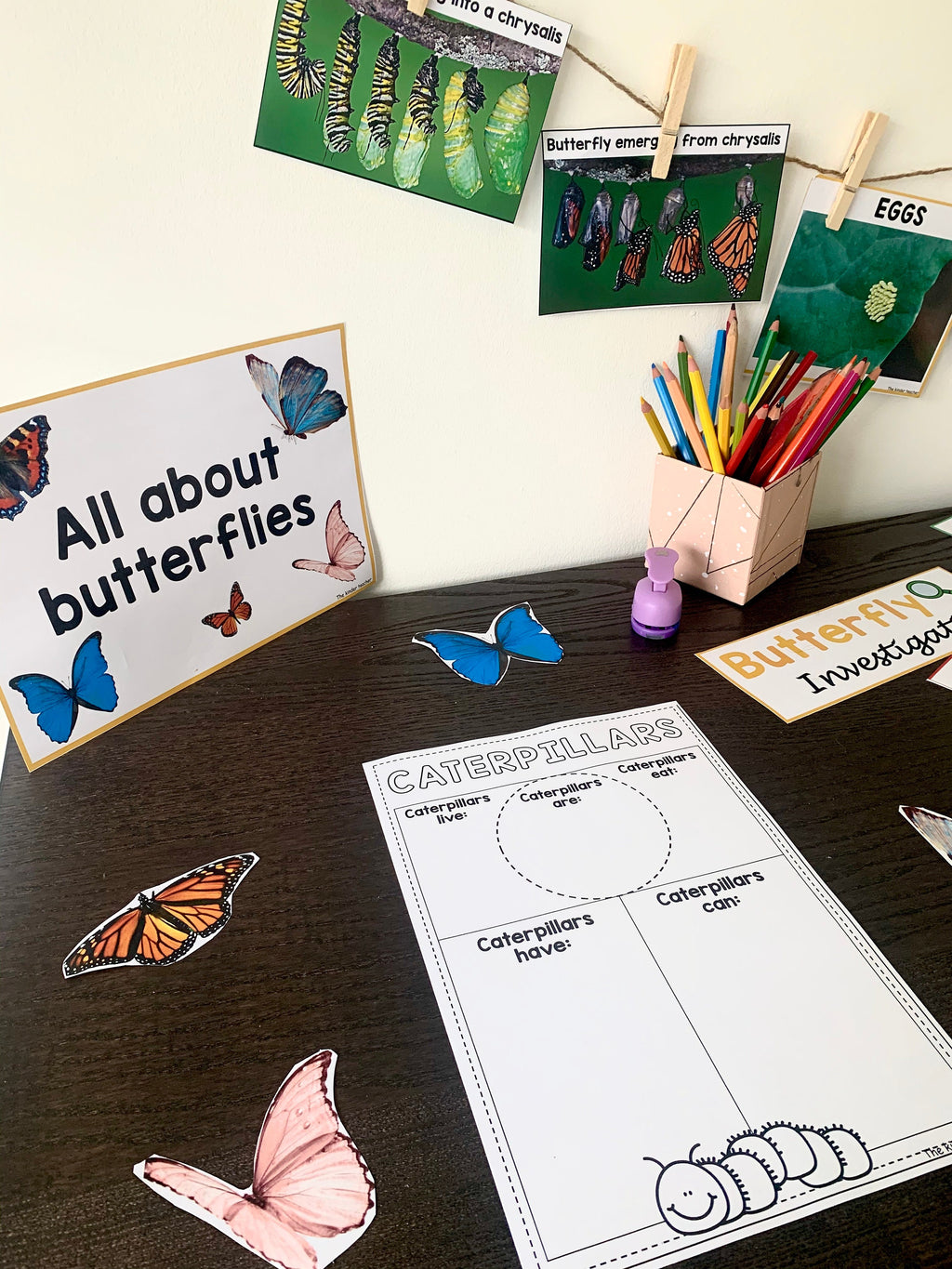 All about butterflies - Investigation science center for Preschool
