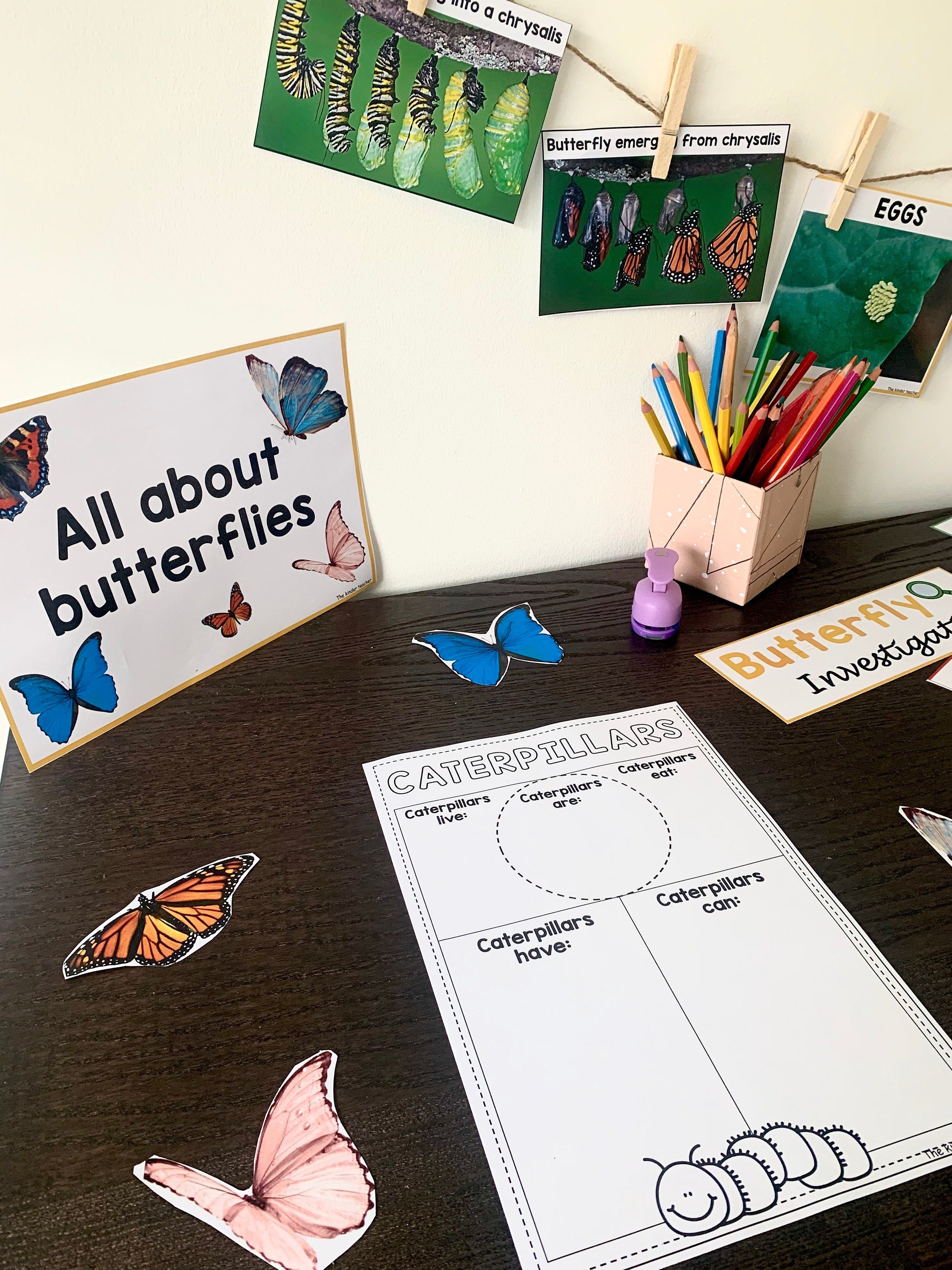 All about butterflies - Investigation science center for Preschool