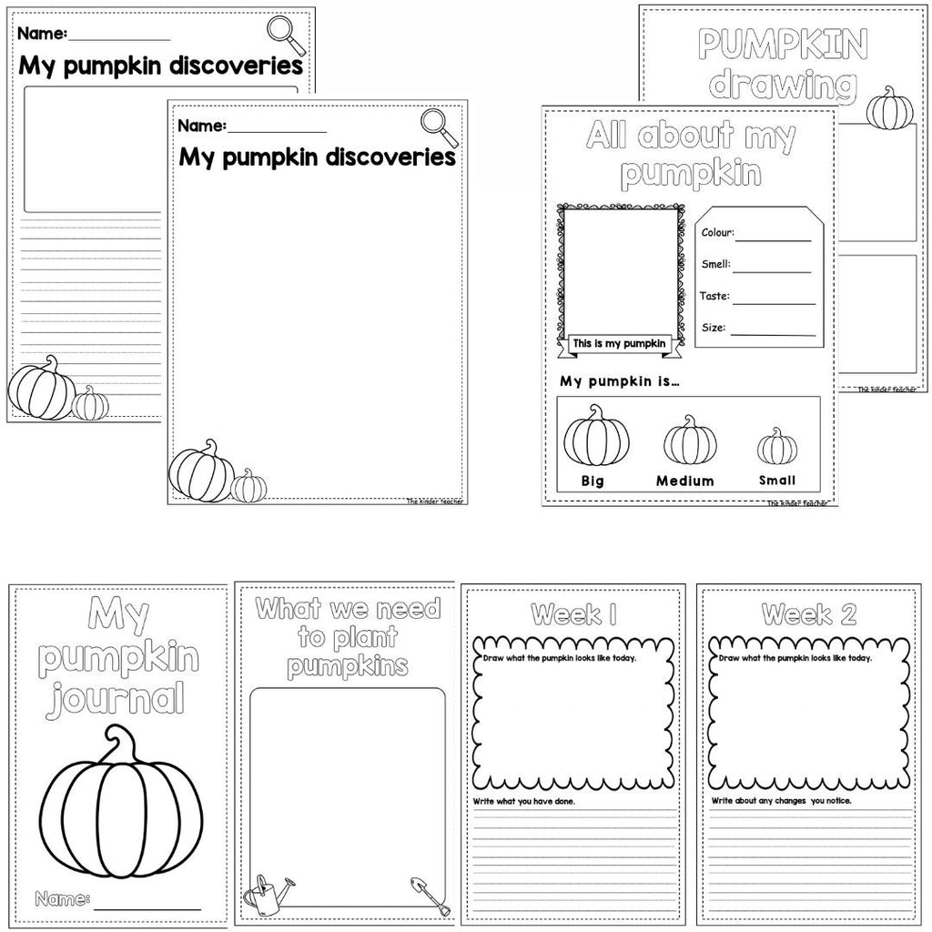 All about pumpkins - Investigation science center for Preschool