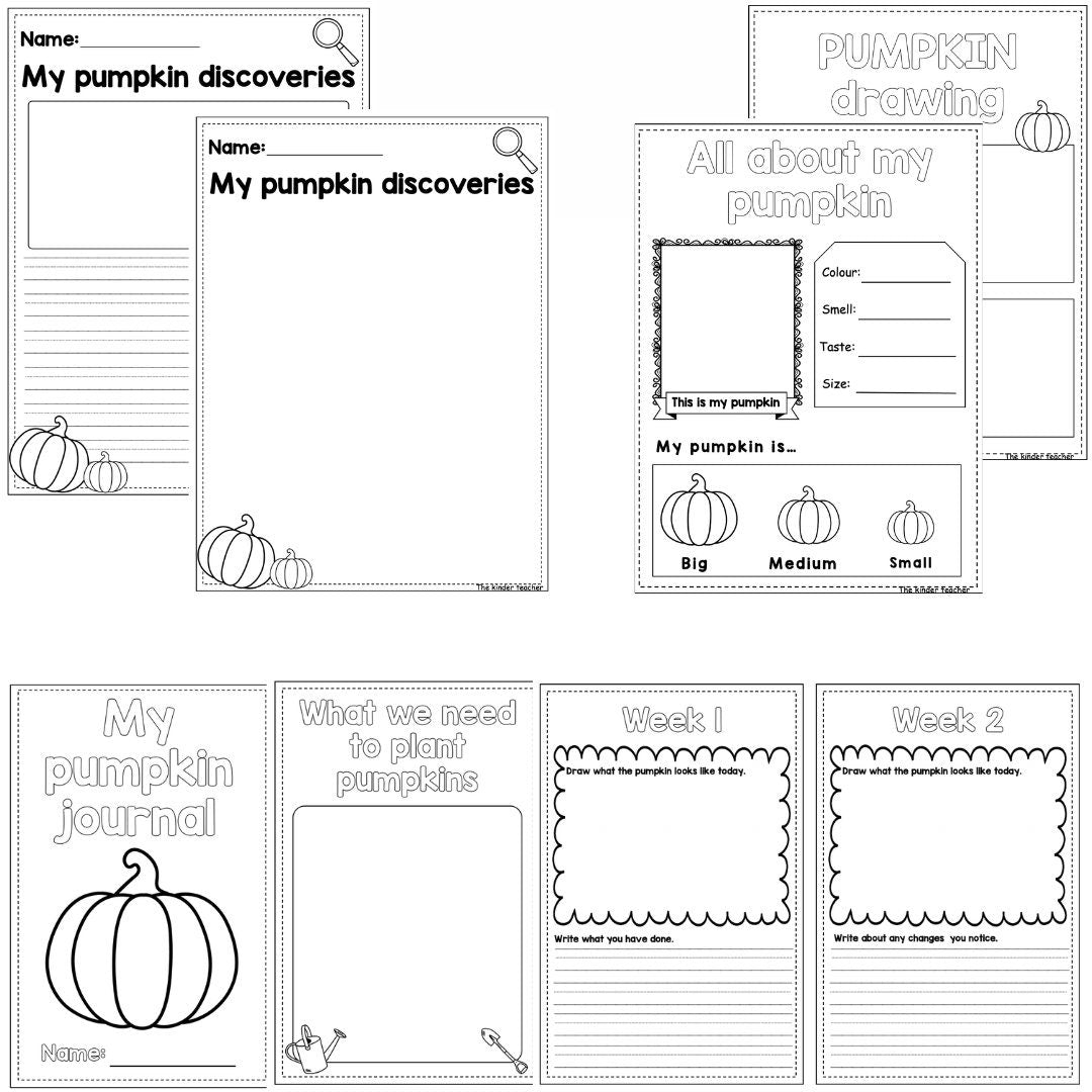 All about pumpkins - Investigation science center for Preschool