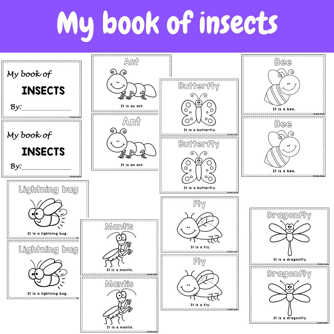 All about insects and minibeasts - Investigation science center for Preschool