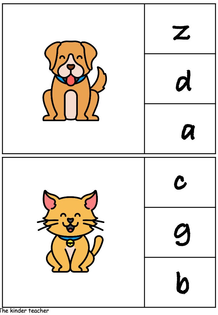 Beginning Sounds Cards