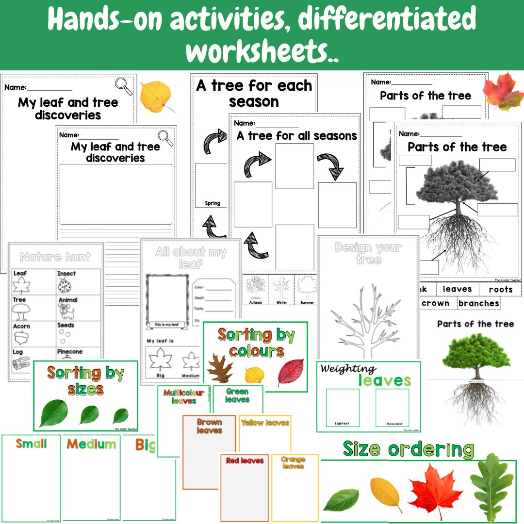 All about trees and leaves - Investigation science center for Preschool